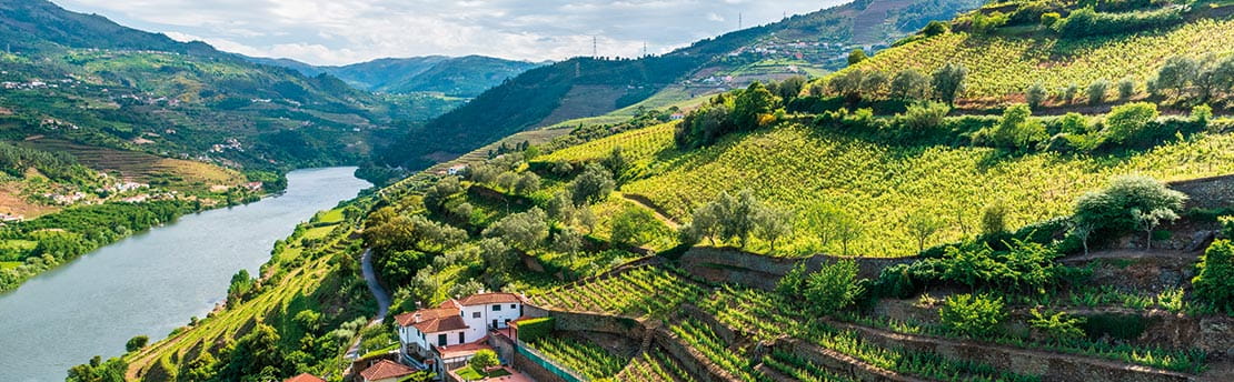 The beautiful Douro Valley